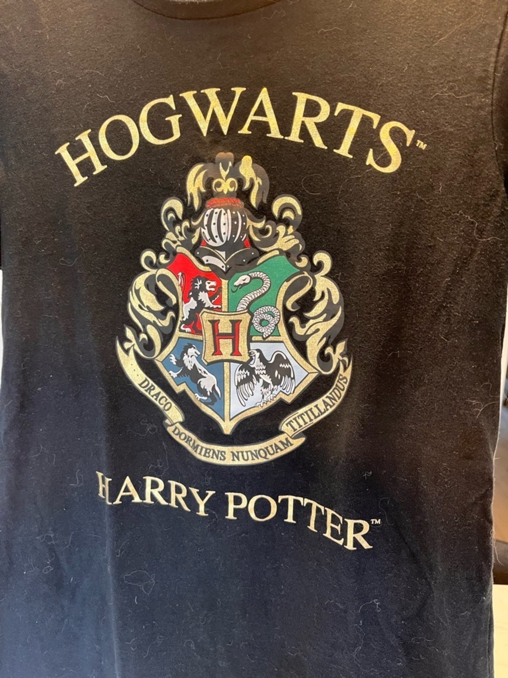 Harry Potter Hogwarts Crest Short Sleeve Tee - Black - Picture 2 of 4